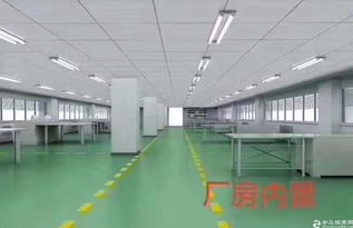 松崗龍大高速出口高級獨院汽車裝飾服務